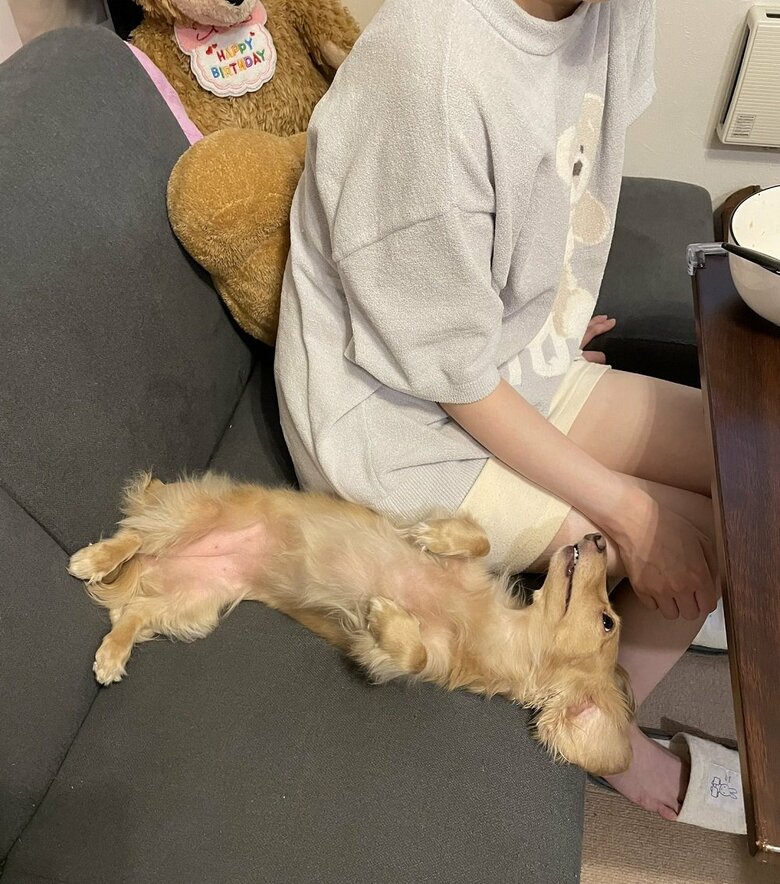 なでてアピール
