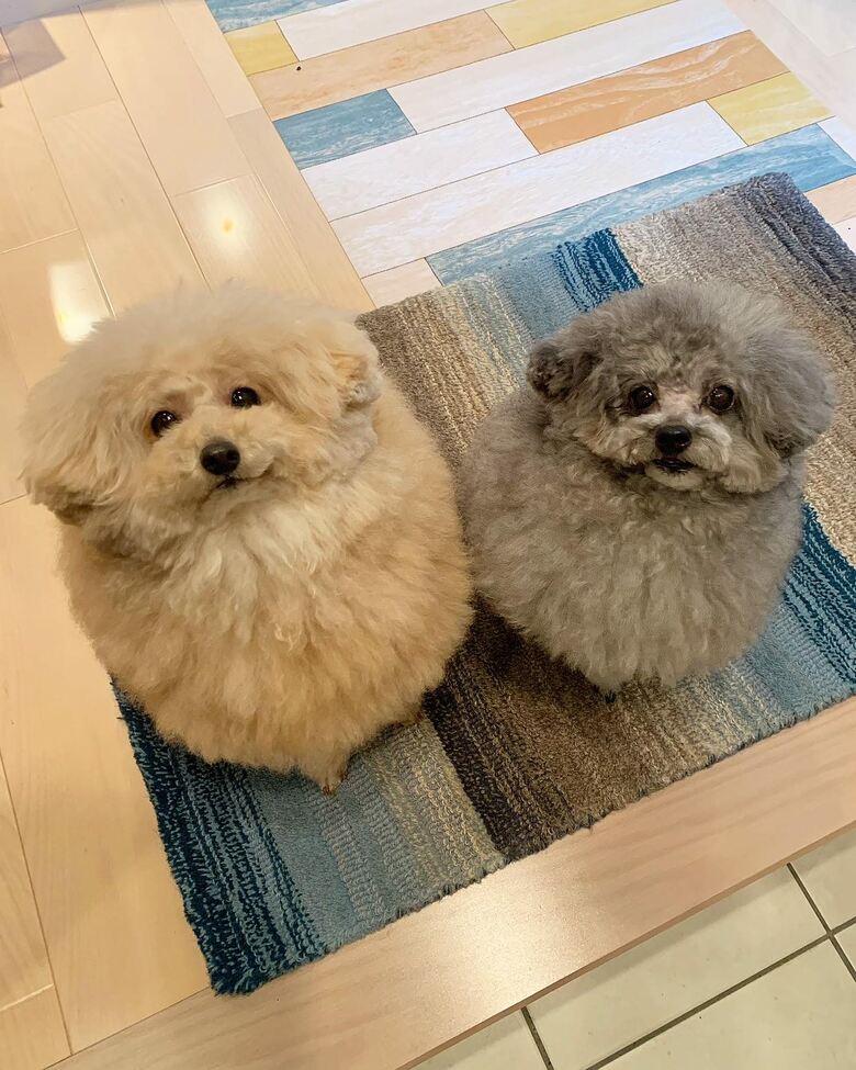 提供：＠tsuru_323さん