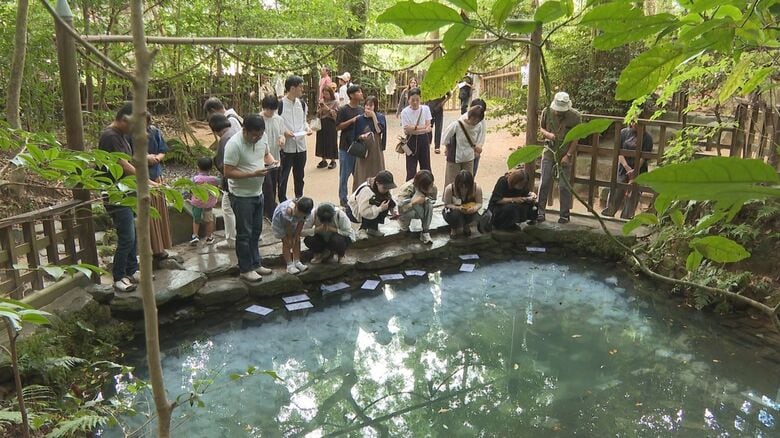 八重垣神社・鏡の池（島根県松江市）