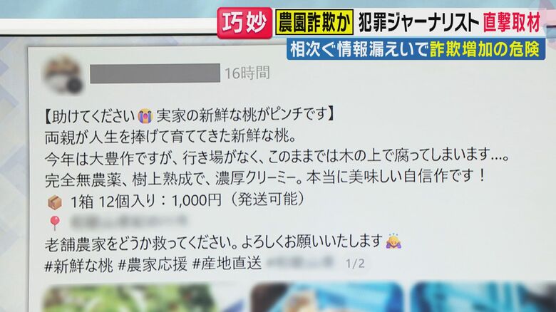 “農園詐欺”（関西テレビ「旬感LIVE とれたてっ！」より）