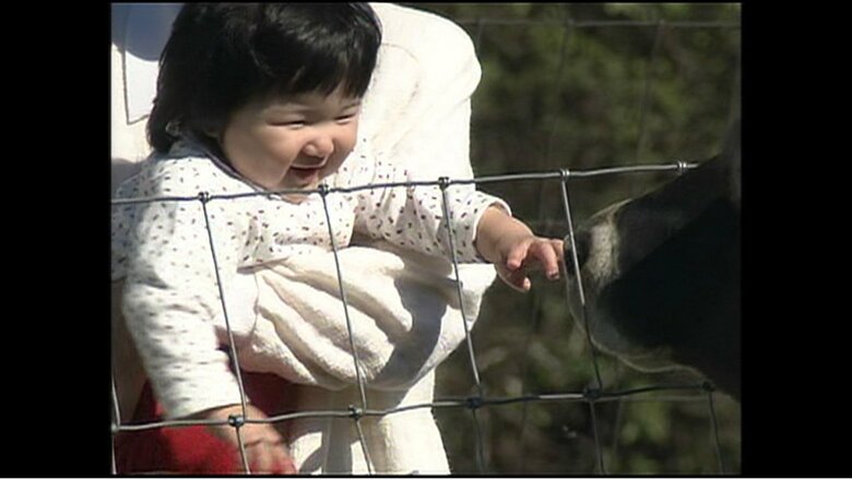 2002年撮影