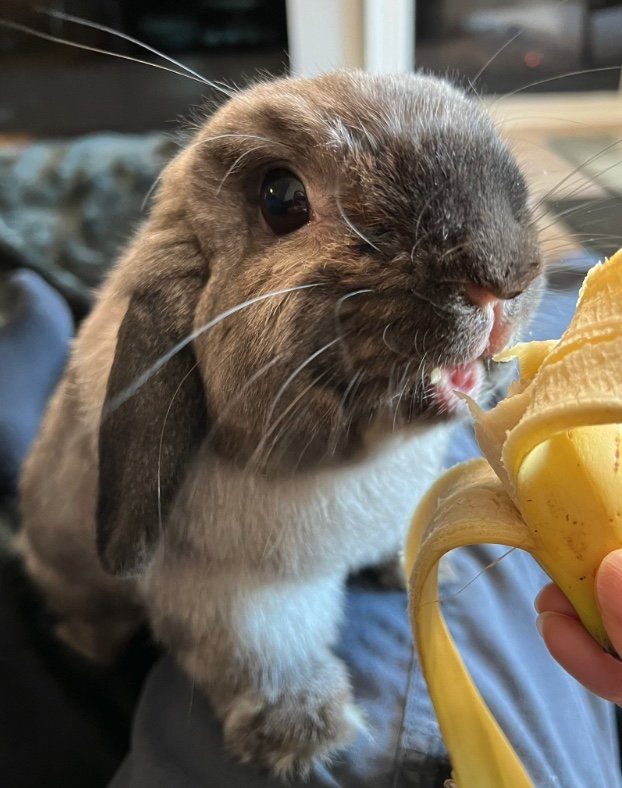 提供：和泉ユタカさん