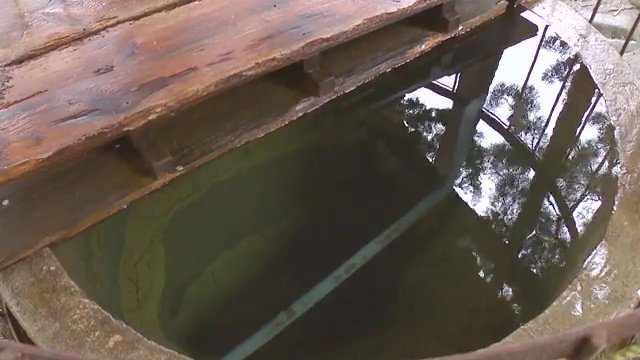 本当に枯れていたの？と思うほどの水量