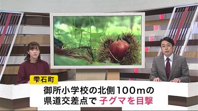 岩手・雫石町の小学校近くに子グマ目撃 注意呼びかけ