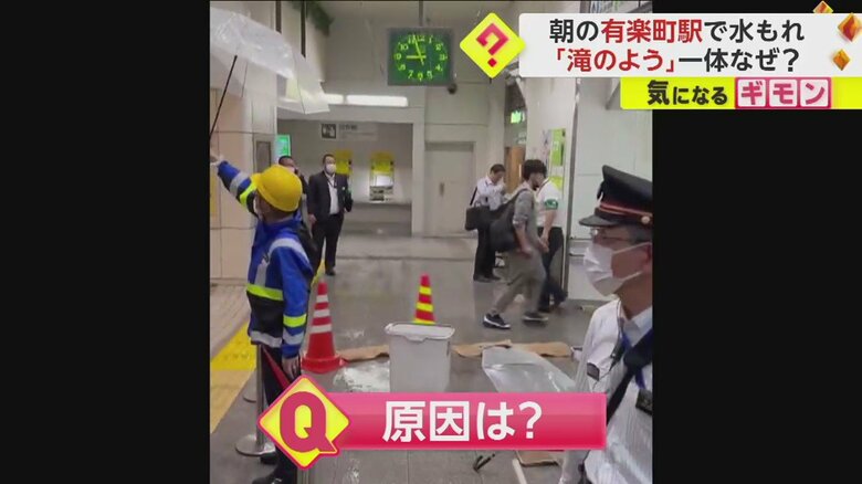（視聴者撮影）