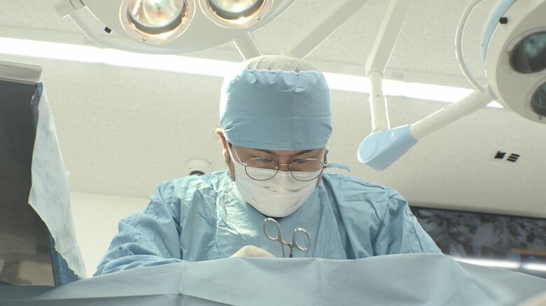 帝王切開を行う宮元獣医師