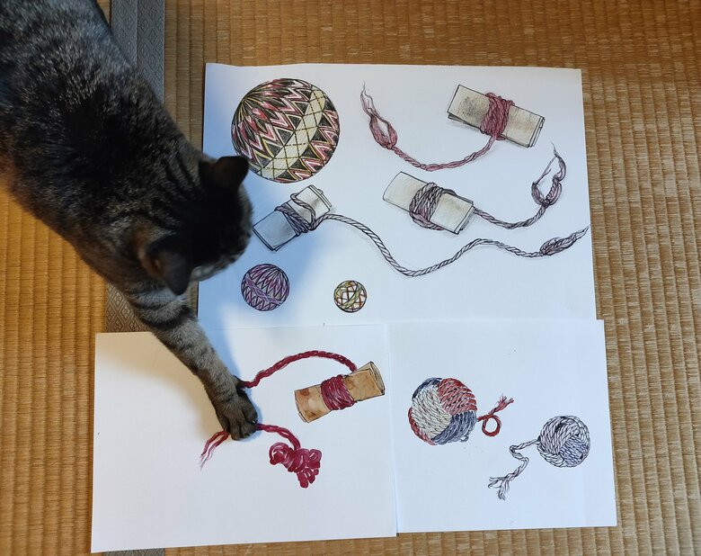 描いた上をノシノシ歩く