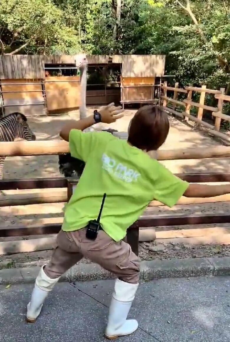 やれやれといった様子で観察するキョウちゃん