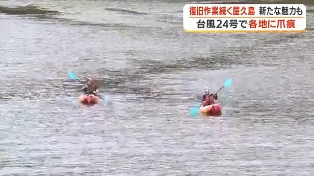 リバーカヤックを楽しむ観光客