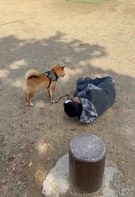 提供：カンさん