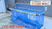 「ネットなしでカラス対策」触らず出せるごみステーション　鹿児島市の企業が開発