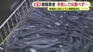 ウナギ豊漁も恩恵は…養鰻業者は手放しでは喜べなず　物価高に加えイラン情勢緊迫化