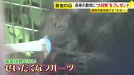 9月21日「敬老の日」　長寿の動物たちに”大好物”のプレゼント　国内最年長49歳のチンパンジーには“ぜいたく”フルーツ　福岡市動物園