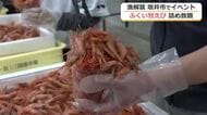 地元で水揚げぷりぷりの「ふくい甘えび」　坂井市三国港で詰め放題イベントが始まる　6月末まで毎週日曜日に開催