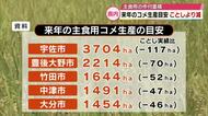 大分県の2026年の主食用コメ作付面積決まる　2025年実績より減少　農家の生産増などが要因　大分