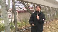 【現場からリポート】旭山動物園の30代男性職員『妻の遺体を動物園の焼却炉に遺棄した』妻の関係者から”行方不明届け_焼却炉を捜索_動物園関係者ショック「まさか遺体を遺棄するなんて」＜北海道旭川市＞
