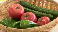 夏野菜の出発式　キュウリやトマトなどの出荷が本格化　岩手県奥州市