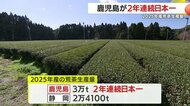 2025年産荒茶生産量　鹿児島が2年連続日本一　