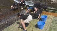 夏の風物詩「観光やな」オープンを前に子供達が鮎のつかみ取りに挑戦 10日から10月下旬まで営業 愛知県岡崎市