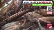 新鮮な