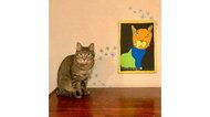 「君の描くネコは世界で一番愛しい」7歳息子の“アート”に大反響…他の絵にも芸術的センスを感じる