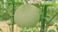 メロンを”ピクルス”に!『フードロス』を減らすため新商品