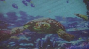 安比ホワイト スノー アクアリウム <岩手・八幡平市>