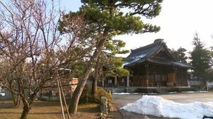 梅も咲き始める…建国記念の日 3月上旬から中旬並みの過ごしやすい祝日に 富山市で最高気温9度予想