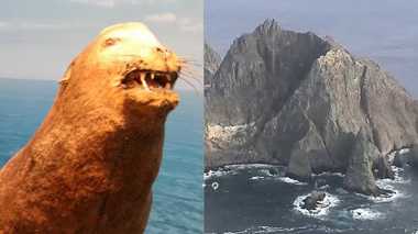 日本の竹島領有権とニホンアシカ 「リャンコ大王」が証明する知られざる関係