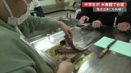 中学生が廃校水族館で宿泊体験　魚さばきに挑戦…新鮮な魚の味に感動も【高知発】