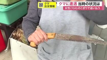 クマと遭遇した女性が恐怖語る　「今こうやって無事でいるのが不思議」　追い払おうとして転倒し重傷　宮城