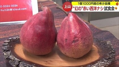 1個1000円超の“幻”の赤い西洋ナシ「リーガル・レッド・コミス」が実った！　希少品種に生産者たちも期待【山形発】