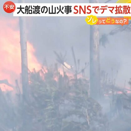 大船渡の山火事でデマ拡散「エネルギー兵器で焼き払っている」「スマートシティー化のため」　過去には逮捕者、ウソの救助要請で警察出動も