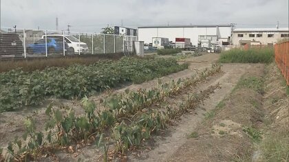 【なぜ】50年通った自分の畑へ行く道が“有料”に　市が「通行料」支払いを求める【大阪発】