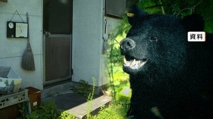「家の中にクマがいた」寝ていたら物音　勝手口突き破り台所の食料荒らす　市職員到着前に逃げたか　長野・松本市