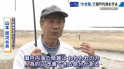 かき殻」が瀬戸内海の環境を守る救世主に 干潟にまくと有害物質を浄化
