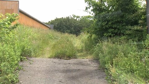 山菜採りの83歳男性がクマに襲われる「やぶから突然…」　搬送されるも意識あり　秋田・由利本荘市
