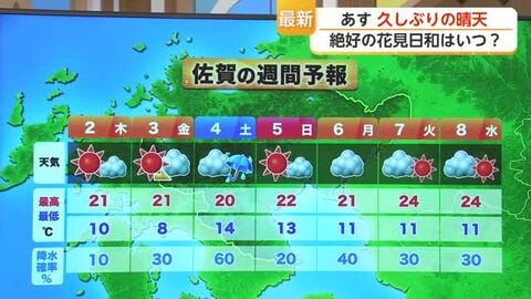 桜散る前に急いで！満開の桜を楽しむなら2日・3日がおすすめ【佐賀県】