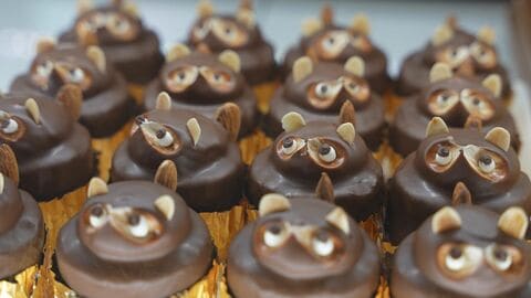 変わるものと変えないもの…3代目が新たな一歩を踏み出した老舗洋菓子店 人気博した「たぬきケーキ」の未来は