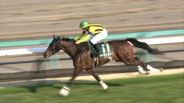 フラワーCを制したレーゼドラマ