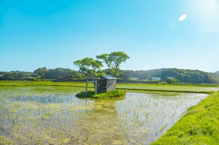千葉県香取市・水神社（2024年5月撮影）