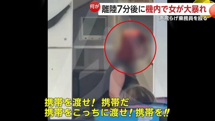 乗務員に詰め寄る女