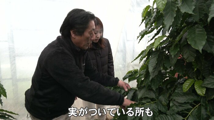 収穫時期について話す 秋田食産・佐藤良一さん