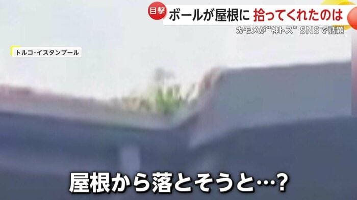 ボールに注目していたカモメ（IHA）