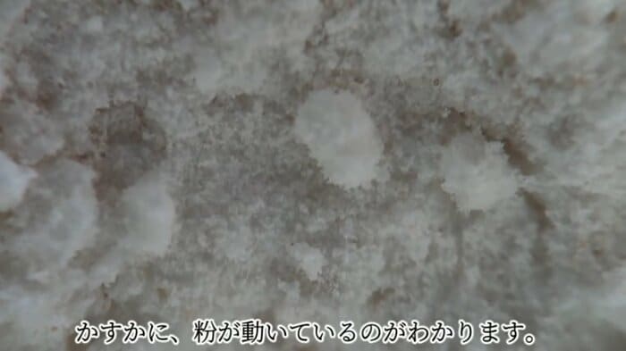 常温放置した2週間のお好み焼き粉(画像:日革研究所公式YouTube動画より)