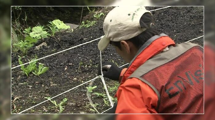 かつての電気柵設置の様子