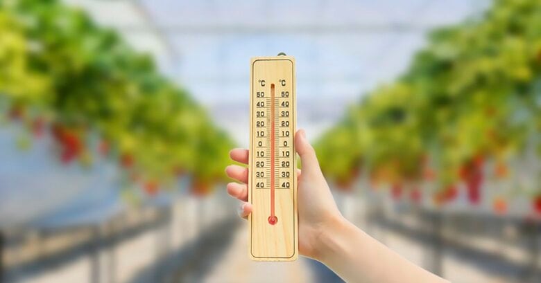 施設園芸の高温被害、約7割が繰り返し影響 ―【暑熱対策に関する実態調査】