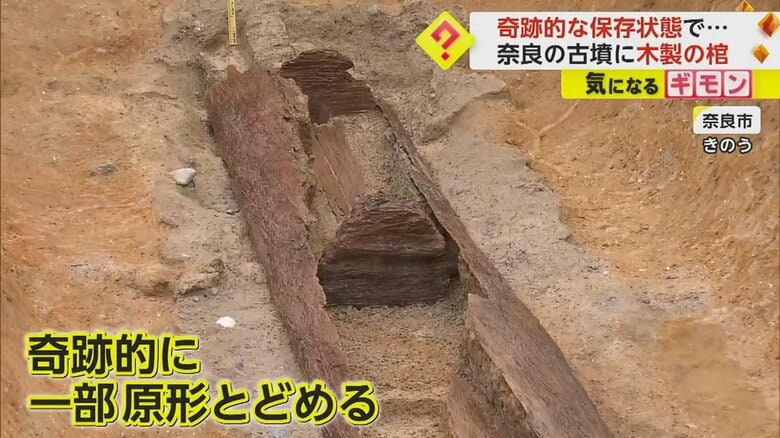 国内最大の円墳で“1600年前”の木棺出土　原形をとどめた奇跡的な保存状態で発見される　奈良市｜FNNプライムオンライン