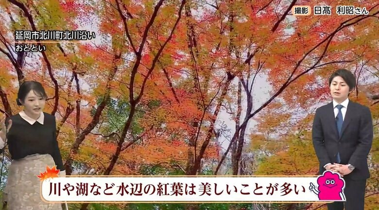 絶景紅葉の秘訣は「き・れ・い・に」と「水辺」にあり　ことし紅葉が美しくなる条件は揃っている!?　気象予報士が解説｜FNNプライムオンライン