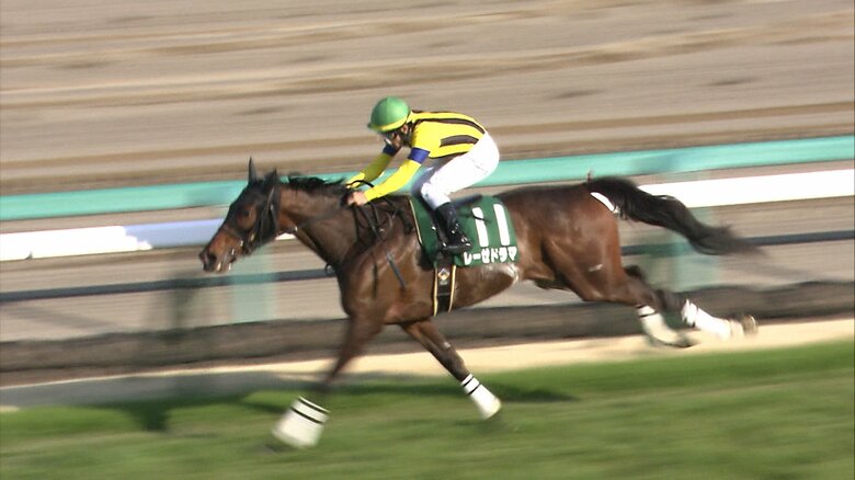 フラワーCを制したレーゼドラマ